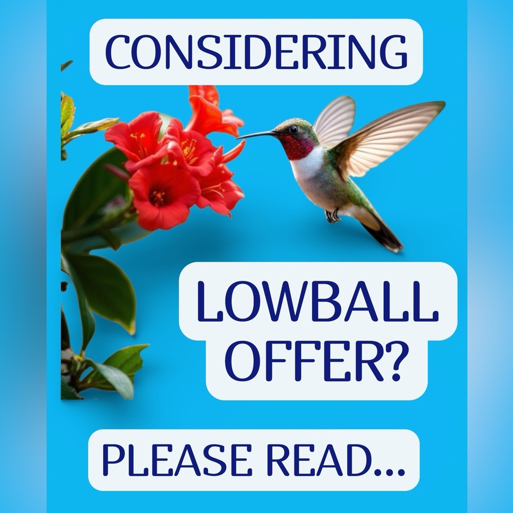 What is a Lowball Offer?